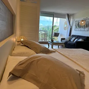 https://reves-de-tropiques-grands-studios-vue-ocean-acces-plage-direct.comcaribbean.com